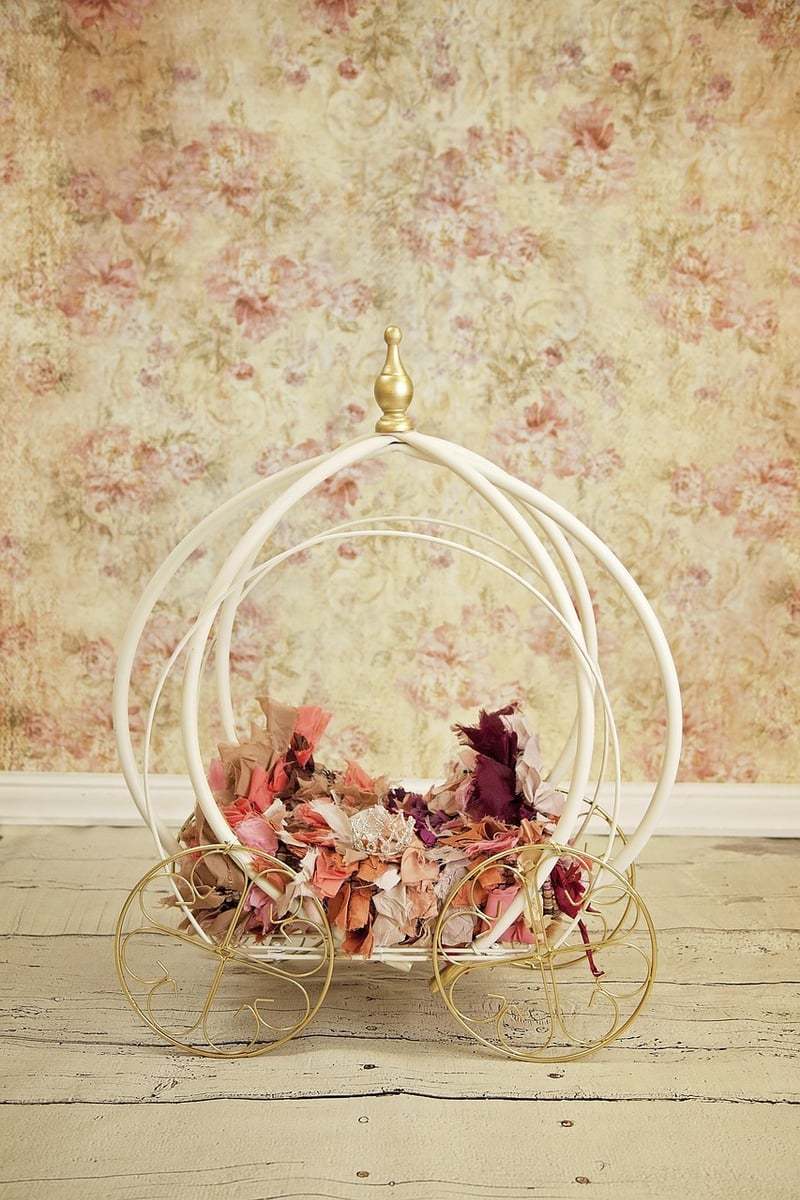 Whimsical Backdrops