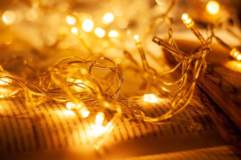 Fairy Lights Wonderland